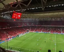 爱游戏公司-奥地利队主场险胜北马其顿队，成功晋级(奥地利队主场险胜北马其顿队,成功晋级了吗)  第1张